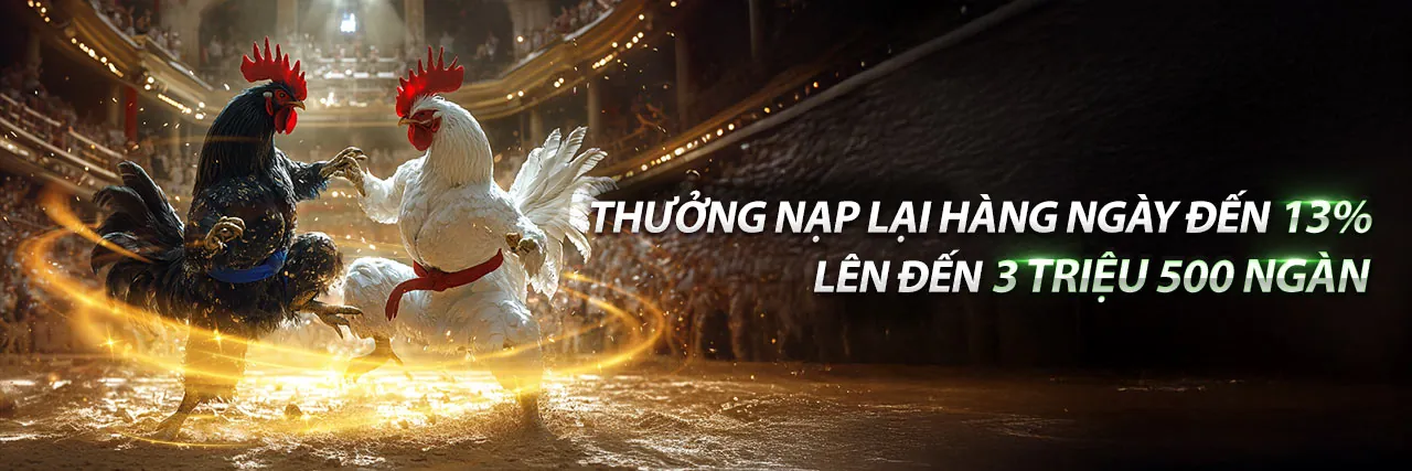 Đá gà trực tiếp kịch tính tại MB66 BET