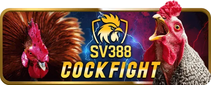 Người dùng đang chơi nổ hũ trên ứng dụng di động mb66 bet